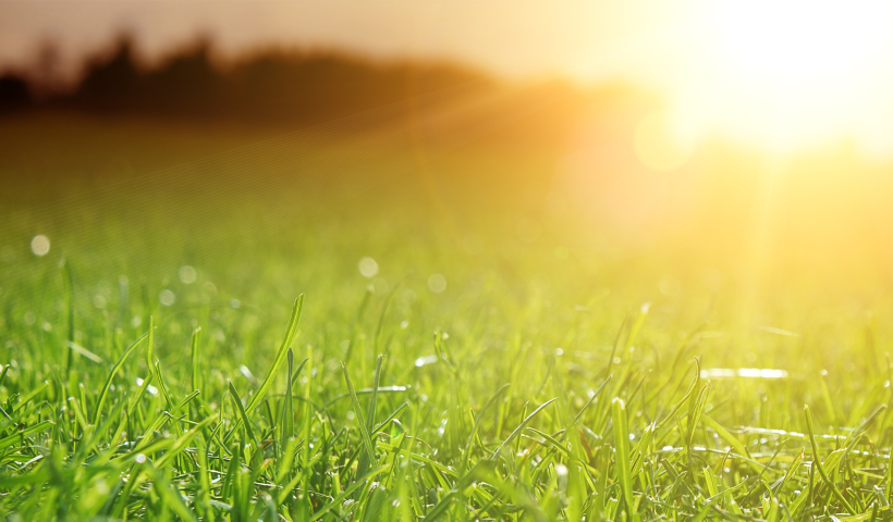 affects of biocarbonates and salts