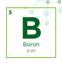 boron icon
