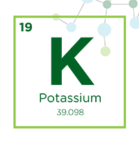 potassium icon