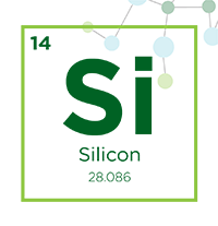 silicon icon