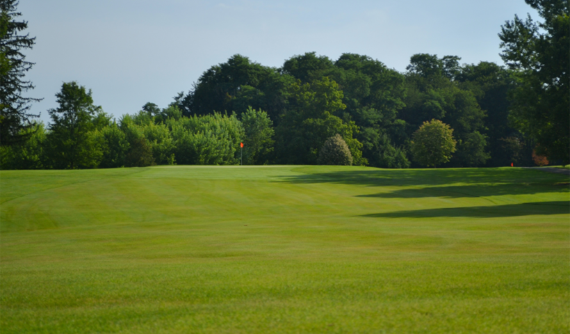 optimizing summer turf health