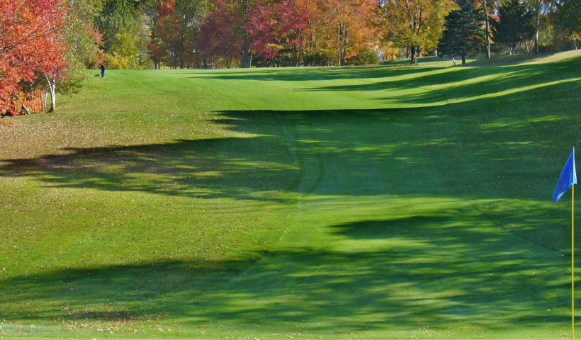prepare your soil for fall
