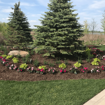 flowers before ultimate ornamental program