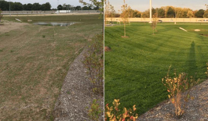 before and after foliar-pak grow-in