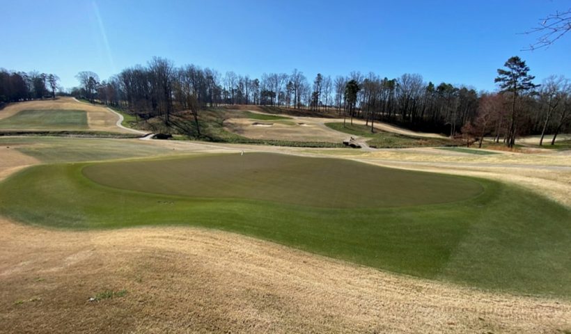 view of the green at forsyth country club