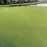 view of green and hole at cypress lake golf club