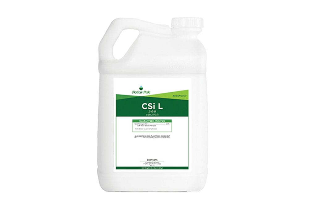 container of CSi L
