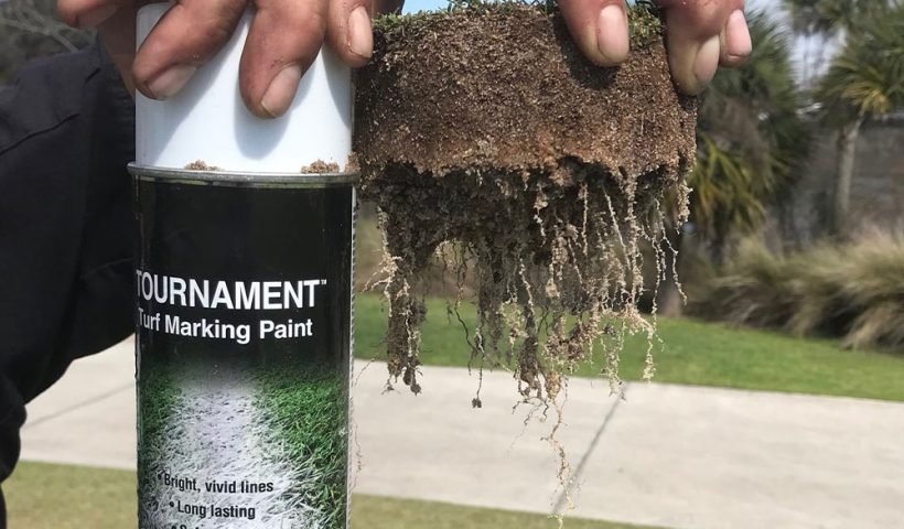 hand holds up tournament turf marking paint and a plug