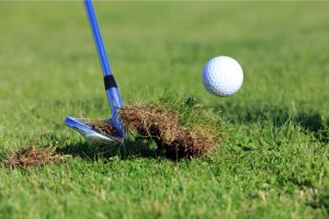 golf course turf needing grow in for traffic recovery