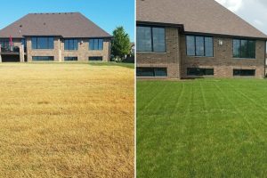 before and after shot of house using grow-in product