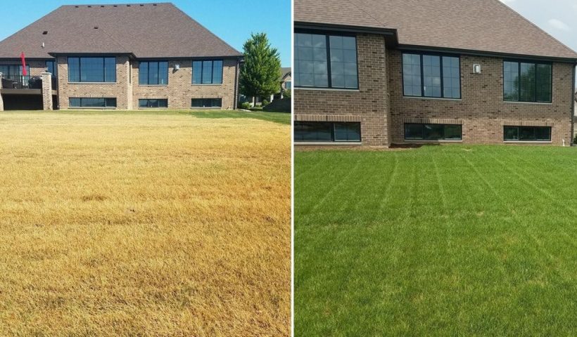before and after shot of house using grow-in product