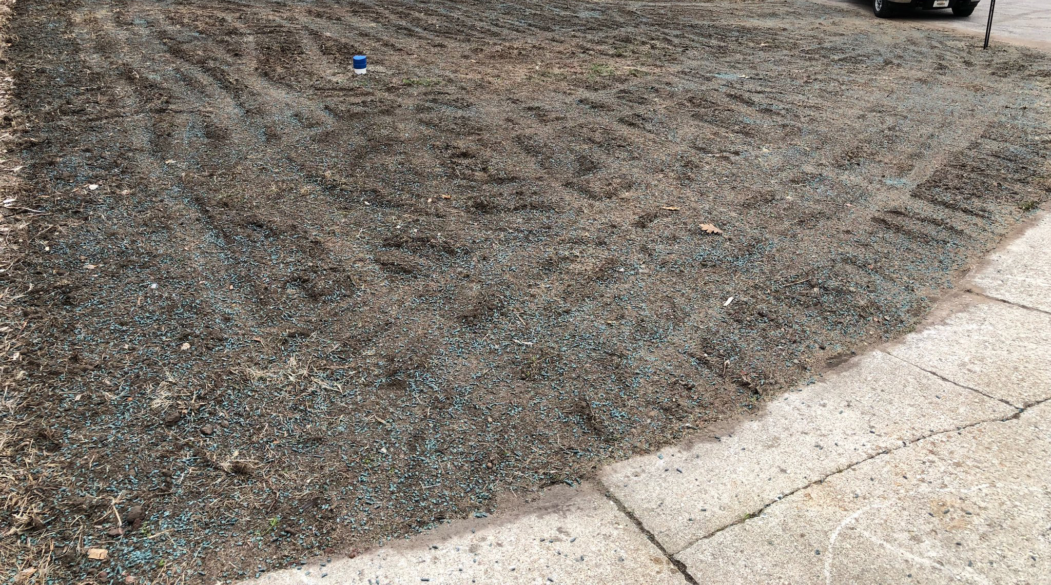 Yard Seeded on April 27th, 2019