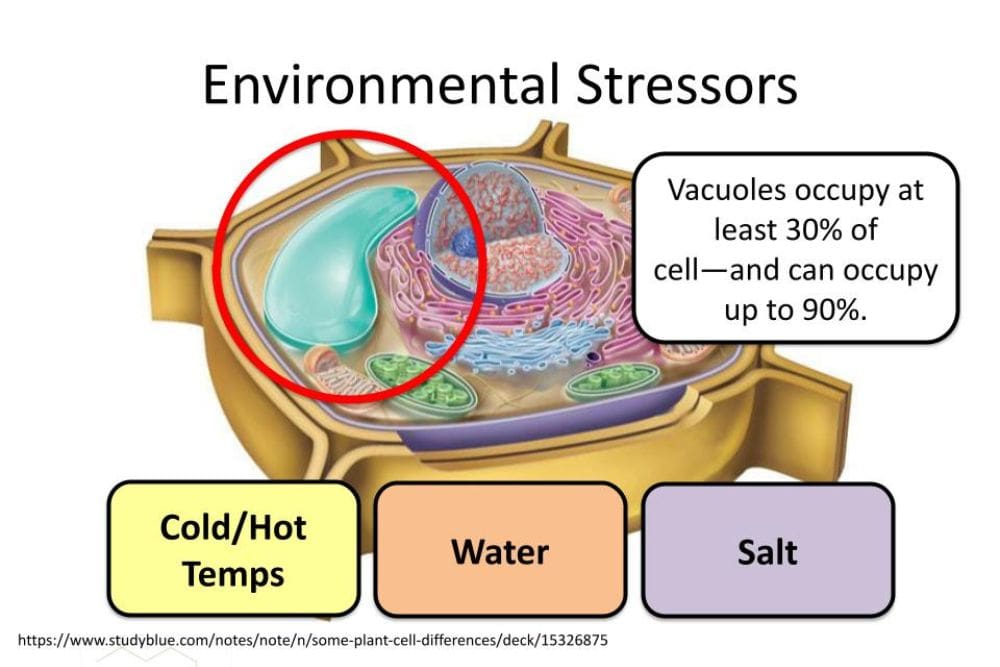 environmental stressors graphic