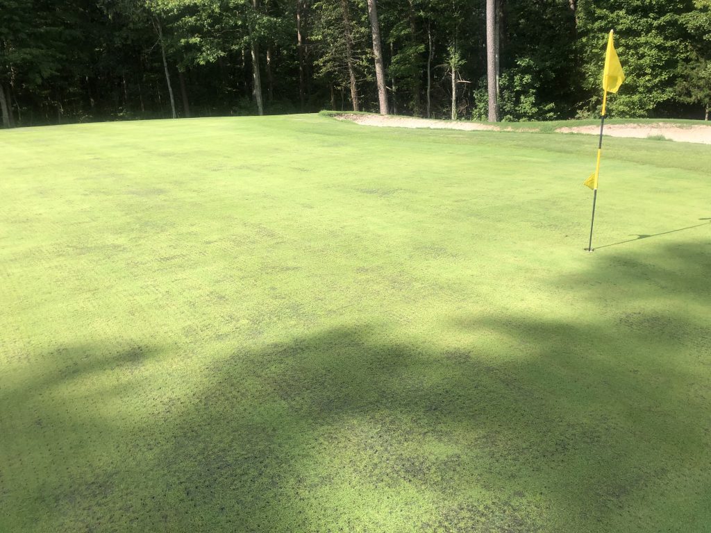 golf course grass damage 