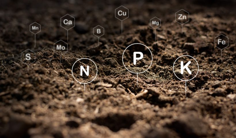 close-up of different nutrients