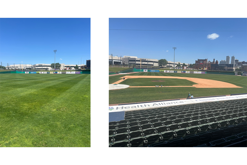 dozer park after treatment
