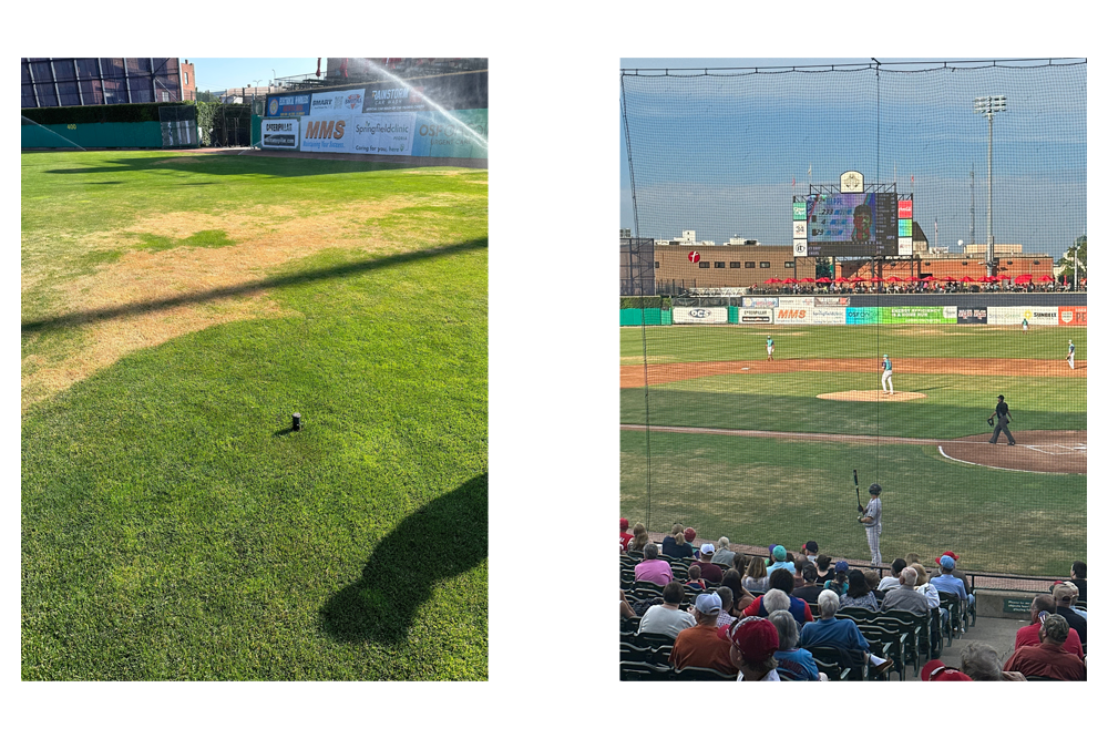 collage of dozer park before