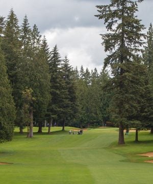 golf course during cool season