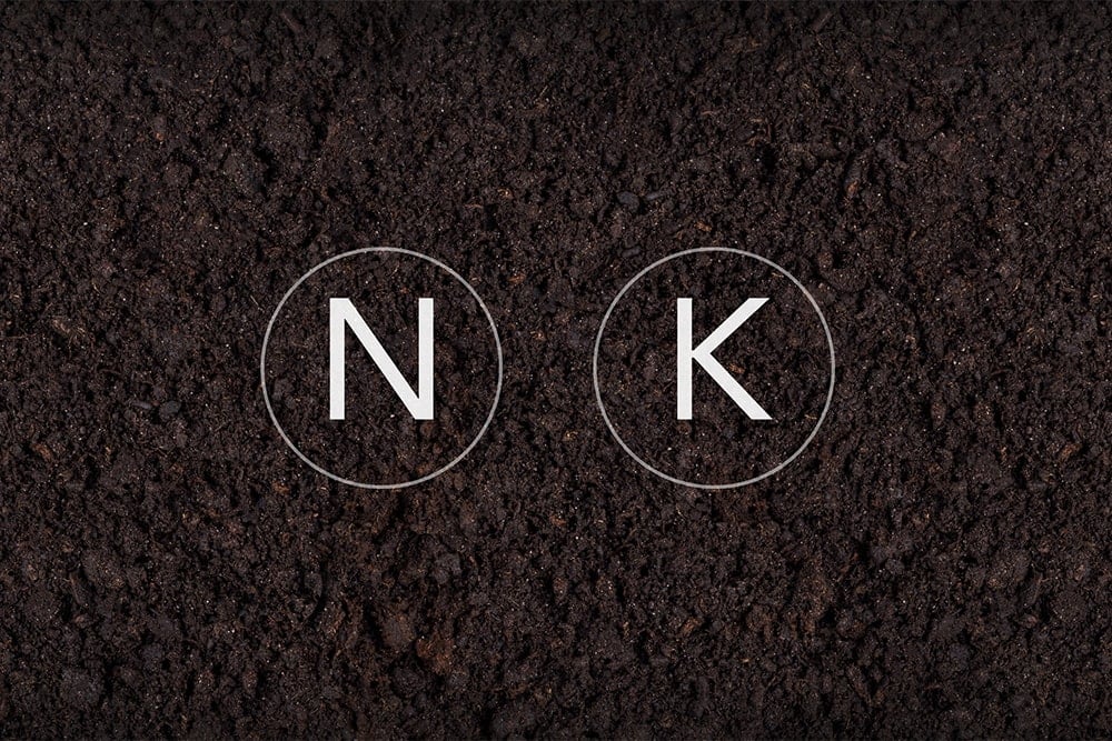 N and K