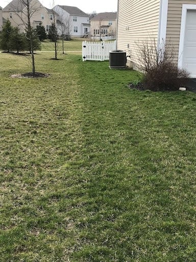 close-up of residents grass