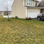 homeowners yard with a tint of yellow grass