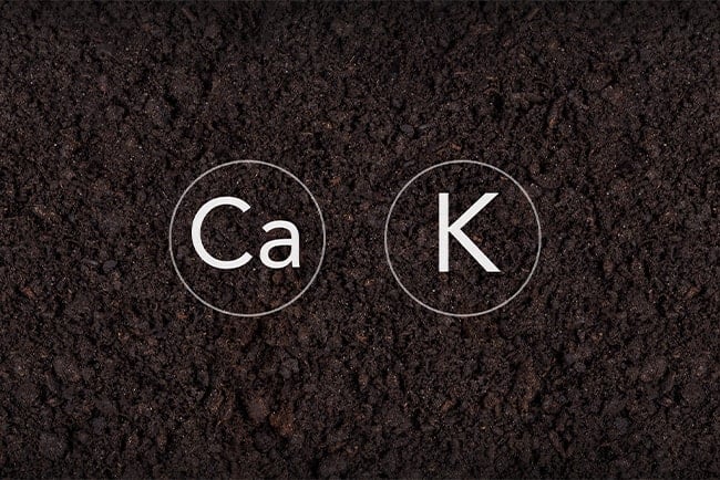 Potassium and Calcium