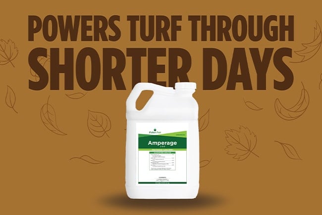 Powers Turf Through Shorter Days