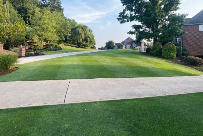 residential front yard
