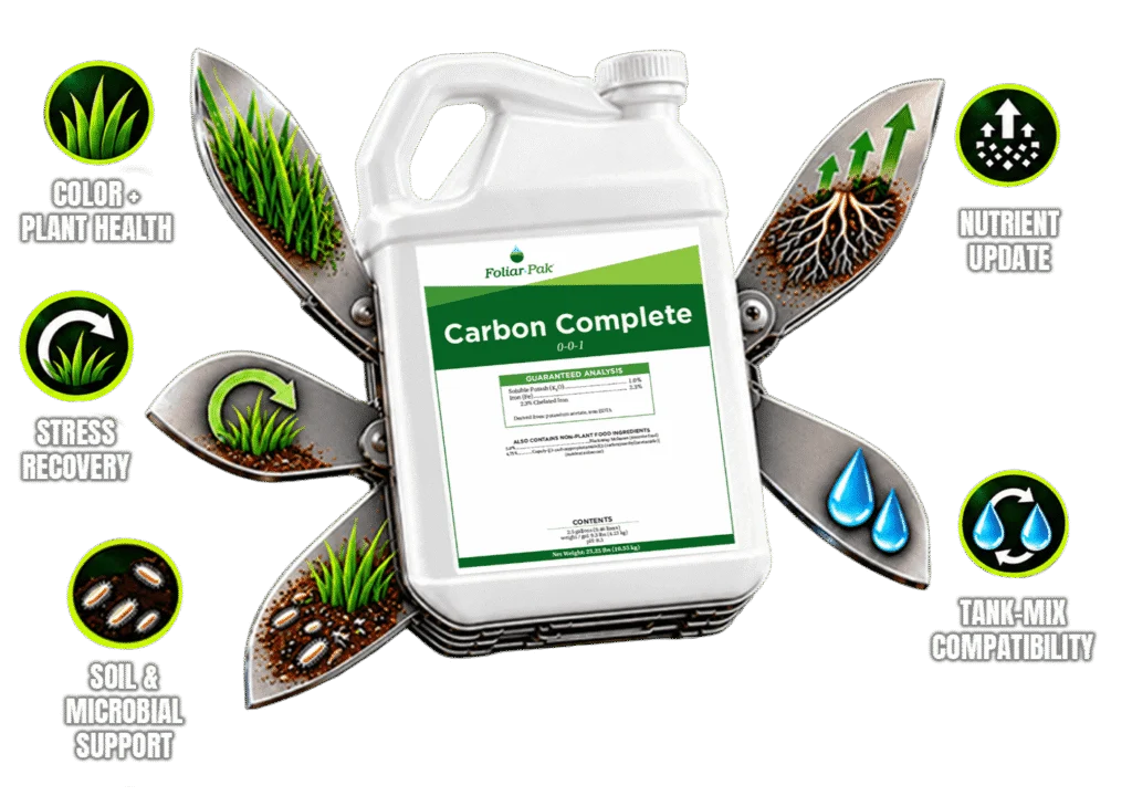 Introducing Carbon Complete