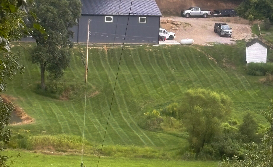 Maintained Lawn