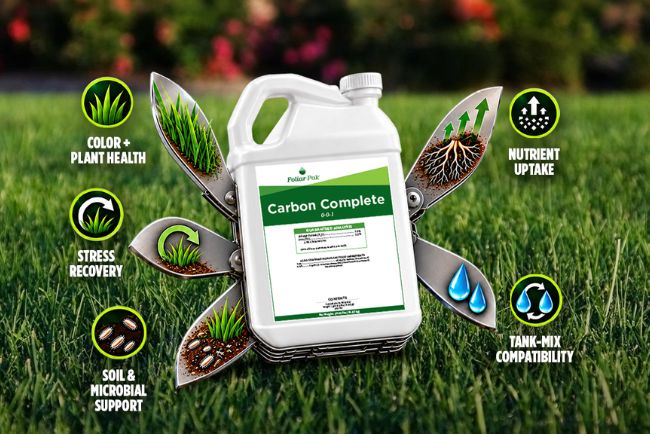 Carbon Complete