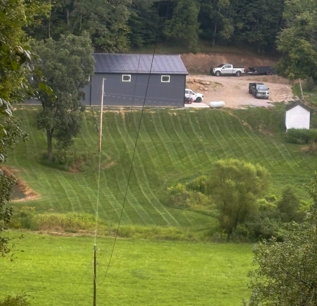lawn