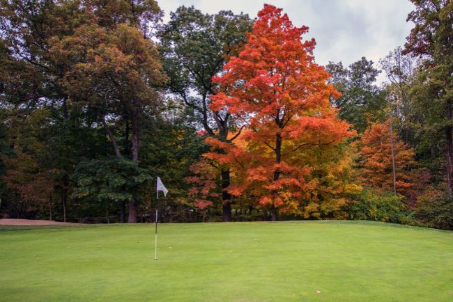 golf course with colorful leaves